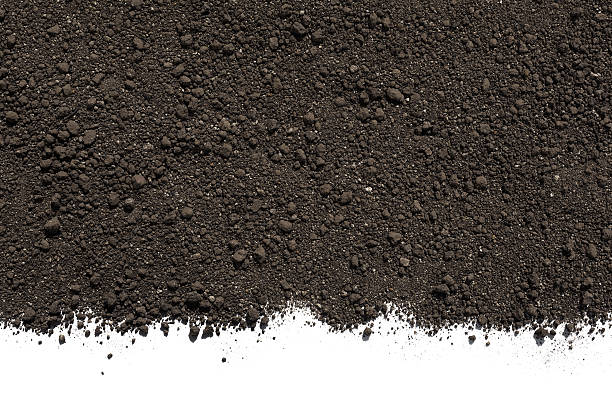Soil or dirt isolated on white background stock photo