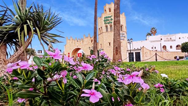 istock Port el Kantaoui Sousse Tunisia 1700058561