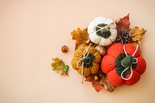 Autumn home decor on color background. Homemade knitted pumpkins, leaves and others.