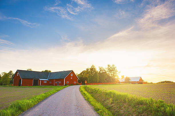 scena rurale in svezia - farm barn foto e immagini stock