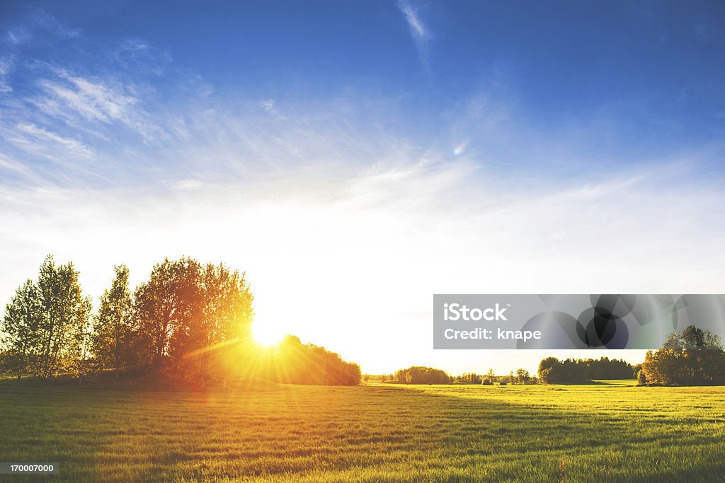 Escena Rural en Suecia - Foto de stock de Belleza libre de derechos