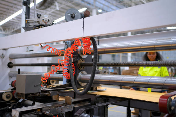 istock Blue collar worker and cardboard package factory. 1700079200