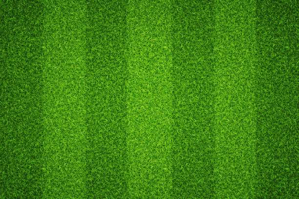fußballplatzbeschaffenheit grüner rasen. vektor - soccer field soccer grass green stock-grafiken, -clipart, -cartoons und -symbole
