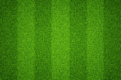 Football field texture green lawn. Vector illustration