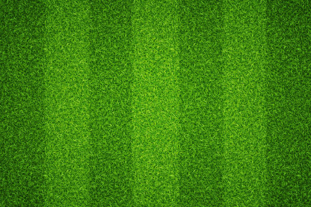 Football field texture green lawn. Vector Football field texture green lawn. Vector illustration soccer field stock illustrations