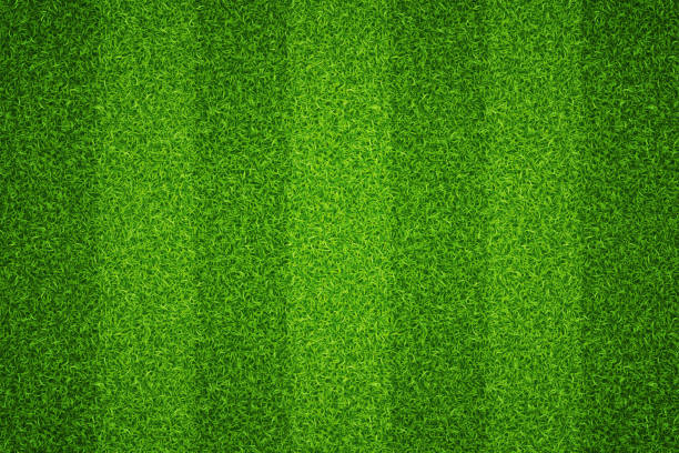 Football field texture green lawn. Vector Football field texture green lawn. Vector illustration sports field stock illustrations