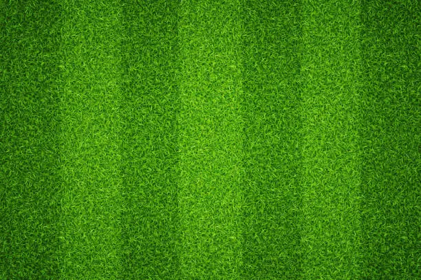 Vector illustration of Football field texture green lawn. Vector