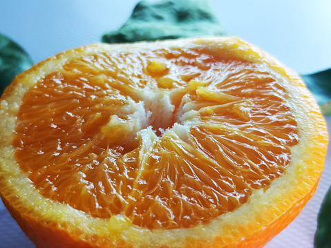 Experience the vibrant allure of a cut orange slice, illuminated by indoor sunlight. This captivating image showcases the radiant beauty of this citrus delight.