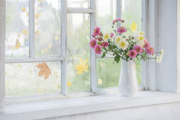 istock chrysanthemums in  vase on  windowsill in autumn 1700104175