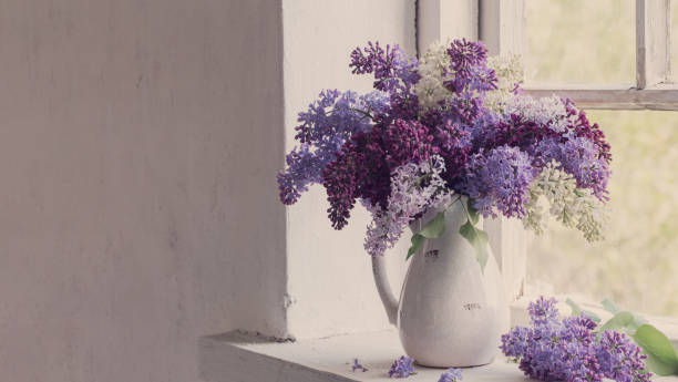 istock branch of lilac in jug on windowsill 1700104191