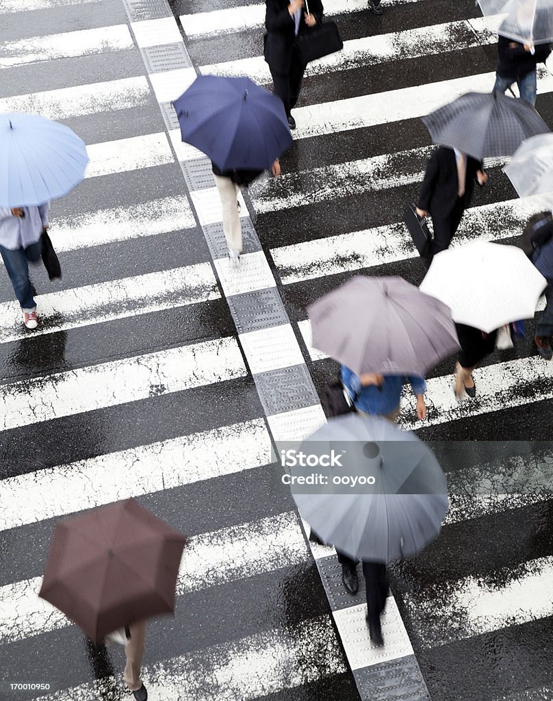 Rainy Commuters zebra crossing on a rainy day People Stock Photo