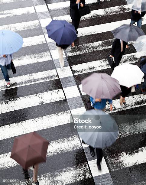 Rainy Commuters Stock Photo - Download Image Now - People, Umbrella, Businessman