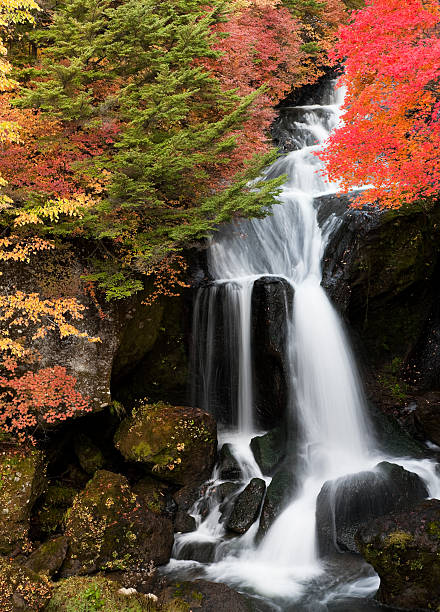 istock Japanese Waterfalls in Autumn 170011496