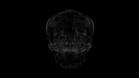 Skull made of lines and particles