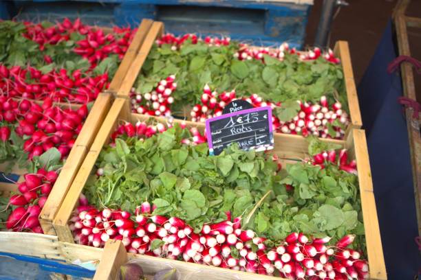 istock Food market 1700145674