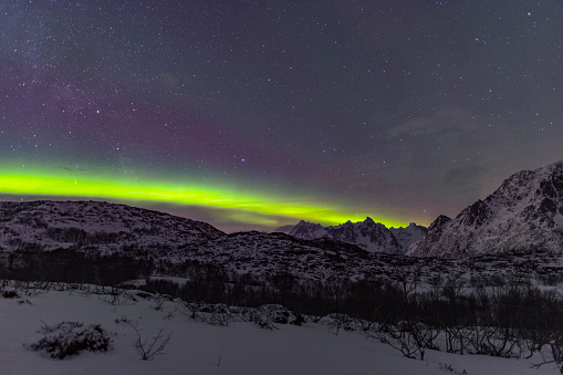 Northern Lights, polar light or Aurora Borealis in the night sky over the Lofoten islands in Northern Norway. Clear beam raising up behind  the high snow and ice covered peaks in the distance.