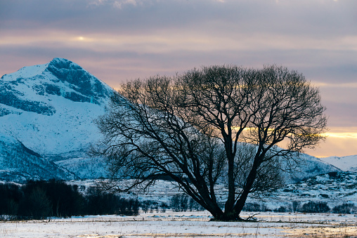 View at Gimsøya island in the Lofoten in Northern Norway during winter