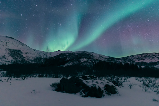 Northern Lights, polar light or Aurora Borealis in the night sky over the Lofoten islands in Northern Norway. Clear beam raising up behind  the high snow and ice covered peaks in the distance.