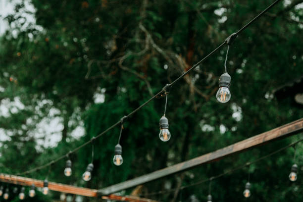 istock hanging lamp in the garden 1700158157