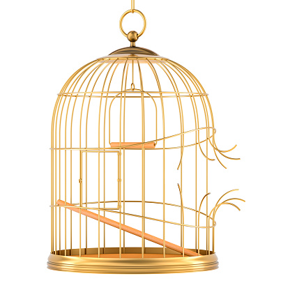 Broken golden birdcage, 3D rendering isolated on white background