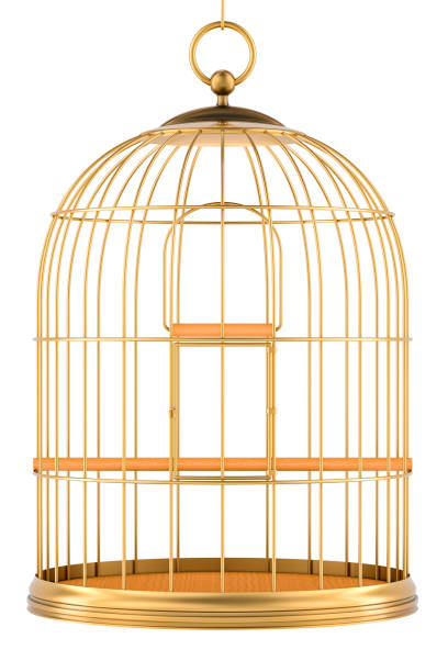 istock Golden bird cage, gold birdcage. 3D rendering 1700164294
