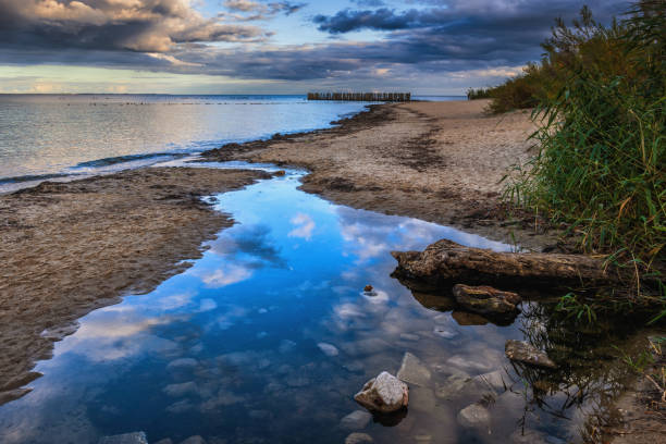istock Baltic Sea Sandy Shore In Poland 1700169397