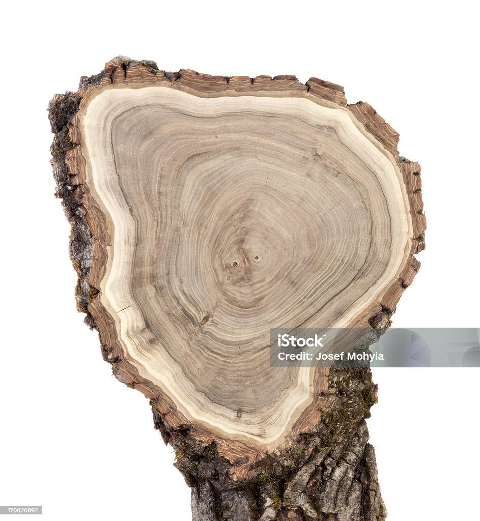 Sección transversal de madera - Foto de stock de Anillo de árbol libre de derechos