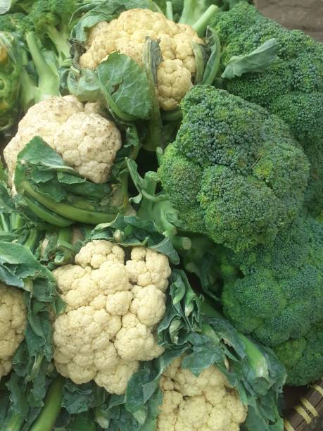 istock Brassica oleracea var botrytis , Cauliflower 1700220866