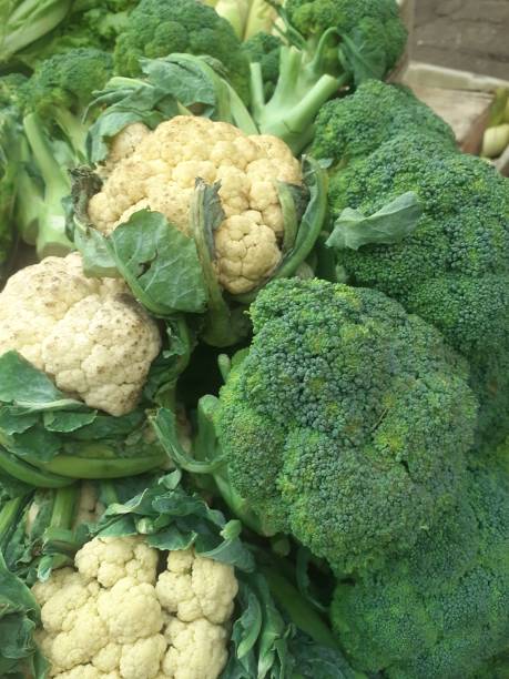 istock Brassica oleracea var botrytis , Cauliflower 1700221032