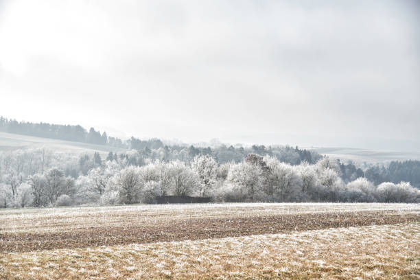 istock Hilly landscape covered in hoarfrost 1700221410