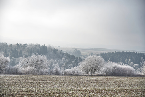 Hilly landscape covered in hoarfrost