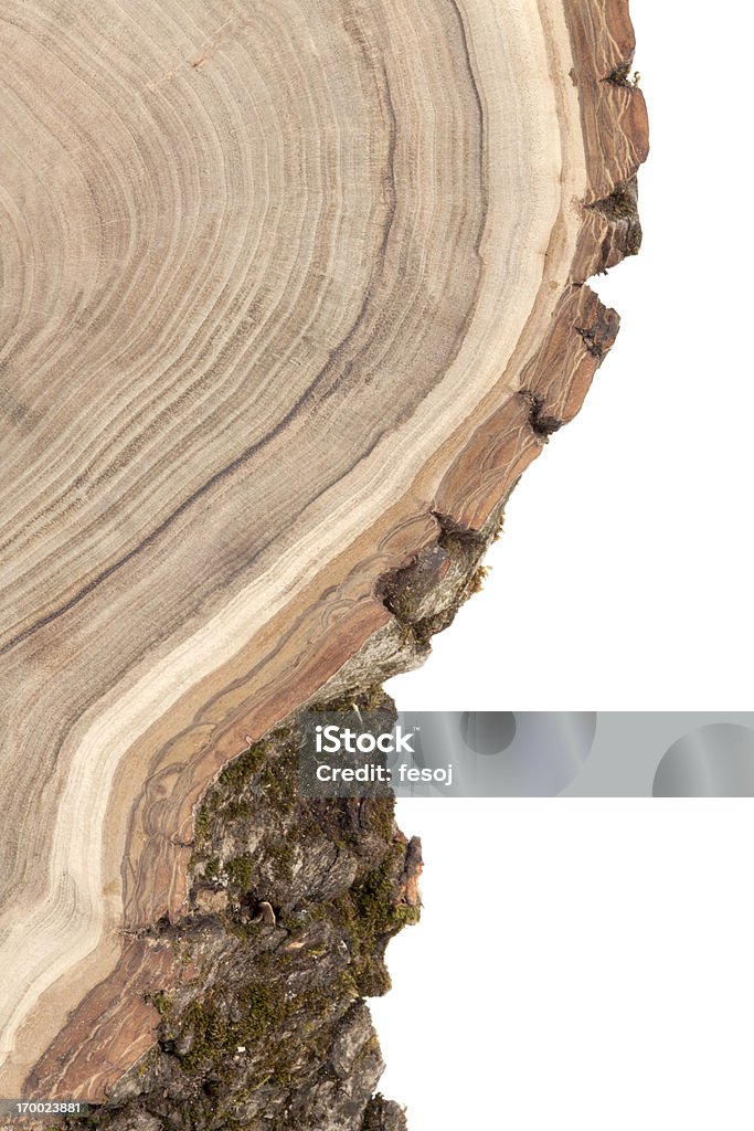 Fond de bois de section - Photo de Anneau de croissance d'un arbre libre de droits