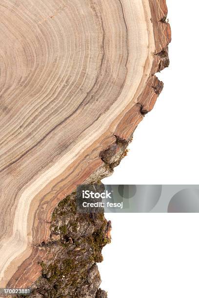 Photo libre de droit de Fond De Bois De Section banque d'images et plus d'images libres de droit de Anneau de croissance d'un arbre - Anneau de croissance d'un arbre, Coupe transversale, En bois