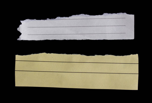 Ripped Paper