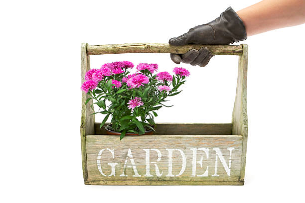 jardineiro com vasos de flores - flower pot gardening glove glove protective glove - fotografias e filmes do acervo