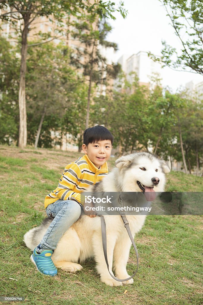 少年と彼の犬 - 1人のロイヤリティフリーストックフォト