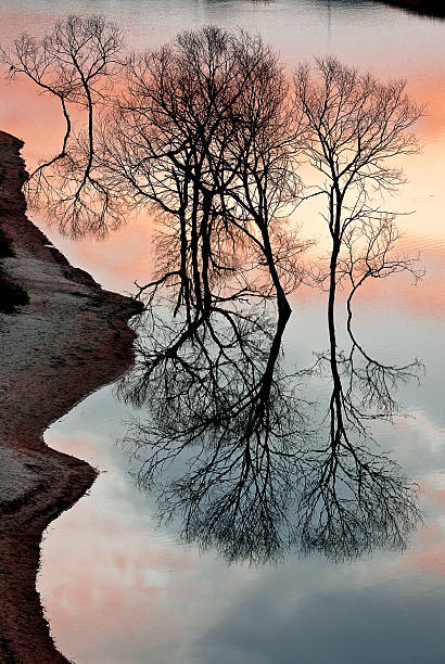 istock Autumn colors reflecting on river. 170024888