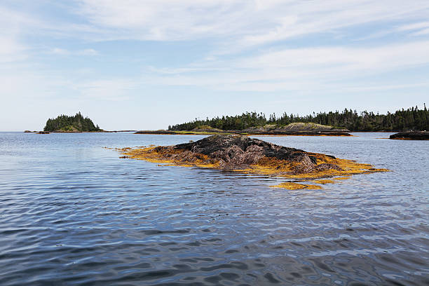 istock Nova Scotia Inner Coastline Water Channel 170025111