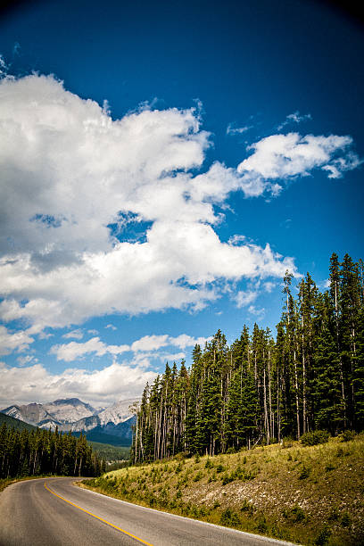 istock Banff National Park road 170025556