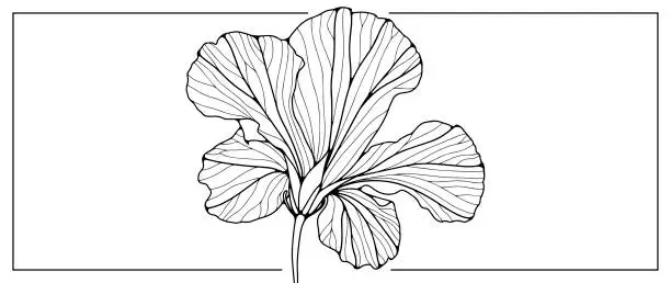 Vector illustration of Black outline of a large flower on a white background. A plant for coloring, creating various designs, patterns, covers, cards and presentations.