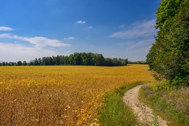 Farm land in Canada
