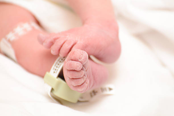 Newborn Feet stock photo