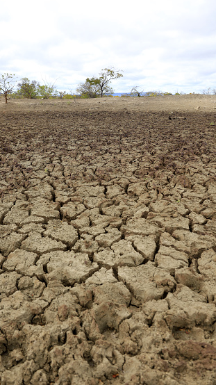 curaca, bahia, brazil - september 17, 2023: view of cracked earth in a dry dam due to drought in the backlands of Bahia