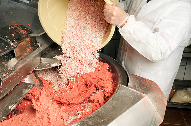 Ingredients in making a salami stock photo
