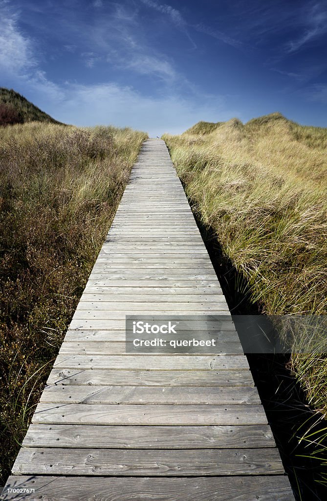 Brücke über den sand dunes - Lizenzfrei Anhöhe Stock-Foto