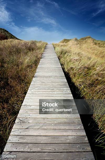 Brücke Über Den Sand Dunes Stockfoto und mehr Bilder von Anhöhe - Anhöhe, Blau, Brücke