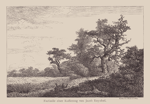 Grain field at the edge of a wood. Facsimile (wood engraving) after an etching by Jacob Isaackszoon van Ruisdael (Dutch painter, c. 1629 - 1682), published in 1878.