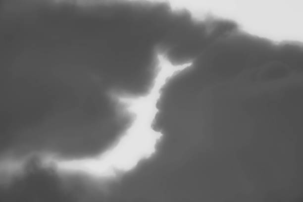 The evening sky was painted black, beginning to slow down, dark clouds passing by. The back of the belly is the same color. Makes the image look cloudy