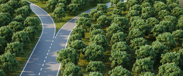 istock Arial image of a forked road within a forest of horse chestnut trees - concept for 