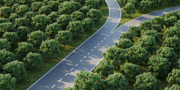 istock Arial image of a forked road within a forest of horse chestnut trees - concept for 